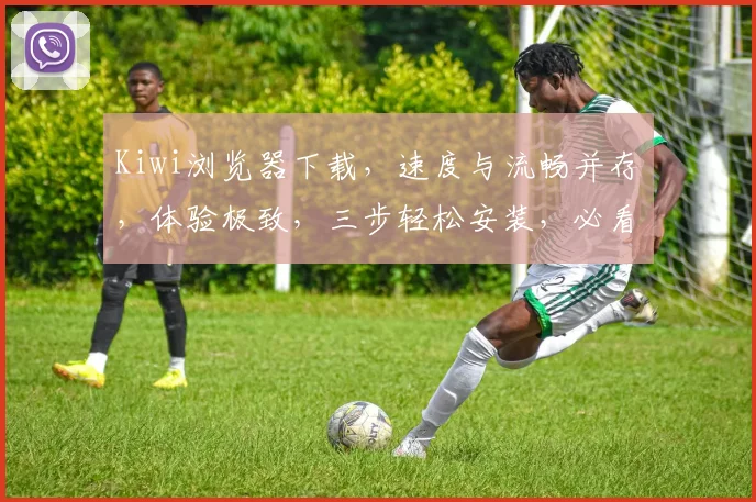 Kiwi浏览器下载，速度与流畅并存，体验极致，三步轻松安装，必看攻略